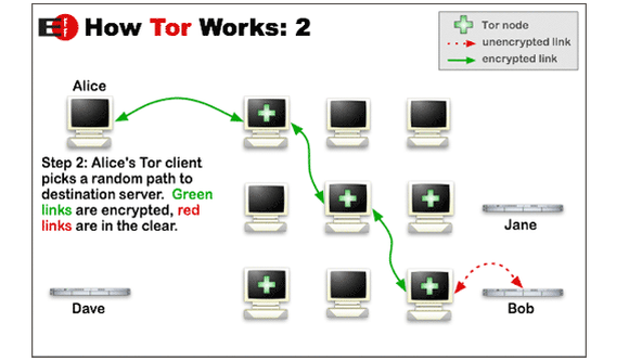 tor browser uses