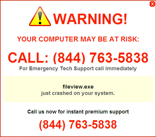 stf-warning-fileview-exe-crashed-844-763-5838-tech-support-scam