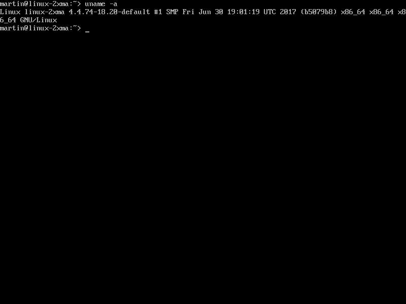 OpenSUSE Linux Server Screenshot Bild