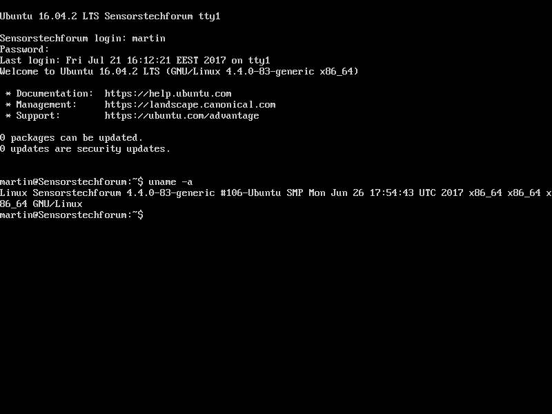 Imagem de captura de tela do Ubuntu Linux Server