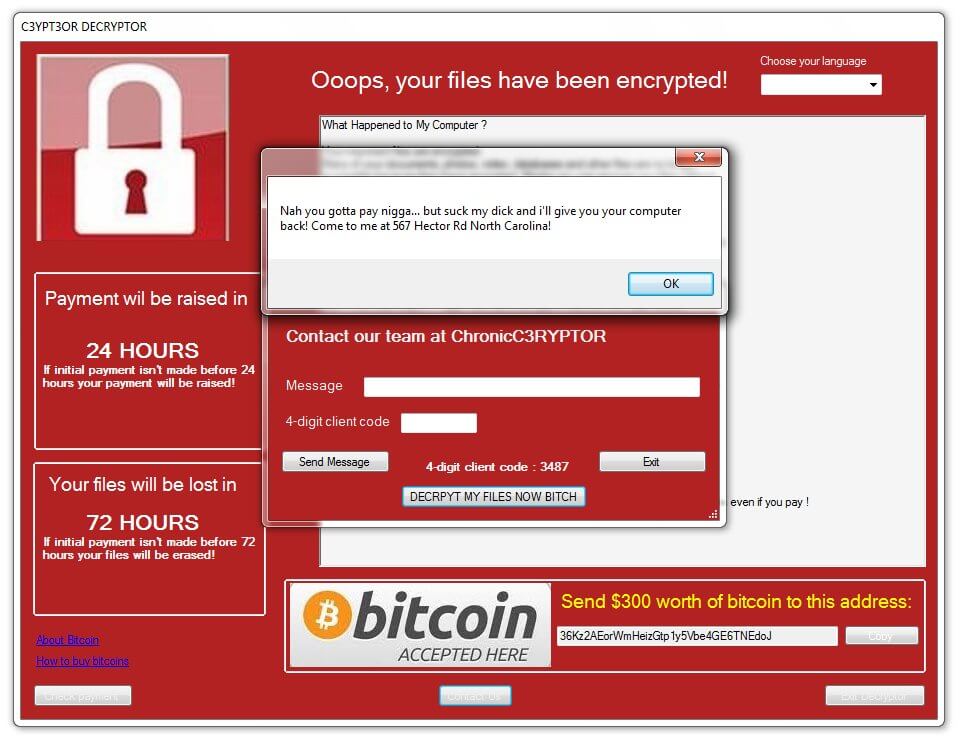 C3YPT3OR ransomware virus error on decrypt