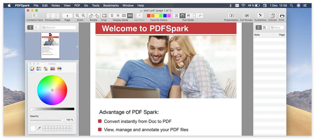 pdfspark undesired program interface