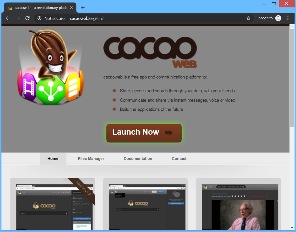 cacaoweb.org browser hijacker