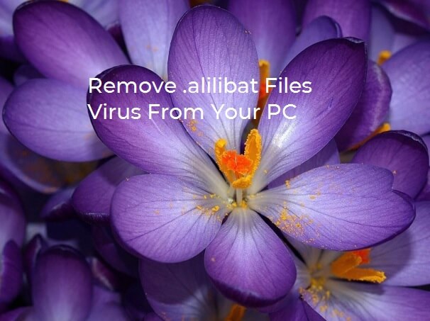 stf-alilibat-files-virus-scarab-remove