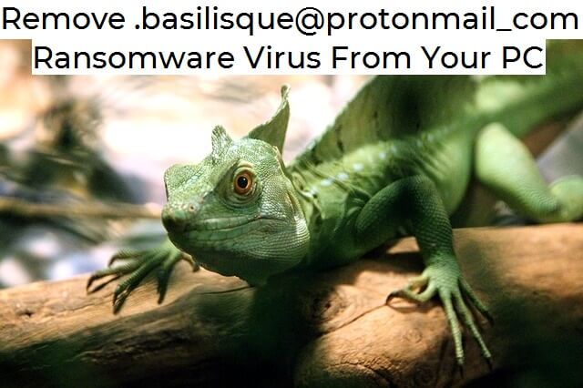 STF-basilisque-protonmail-ransomware-supprimer
