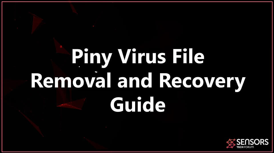 stf-piny-virus-file-remove