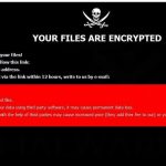 stf-NW24-virus-file-Dharma-ransomware-note