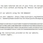 stf Bonsoir file virus ransomware note