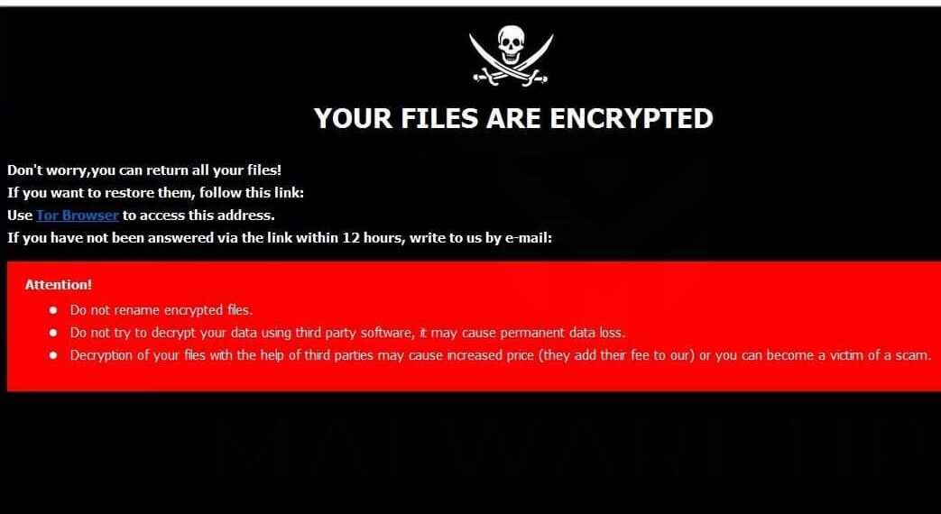 stf-.hub-virus-file-Dharma-ransomware-note