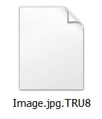 tru8 file