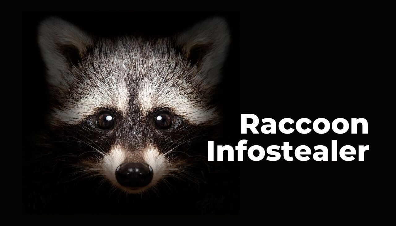 raccoon-infostealer-sensorstechforum
