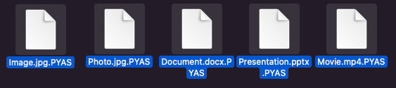 pyas file extension