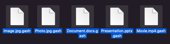 gash file extension .gash decrypt open free