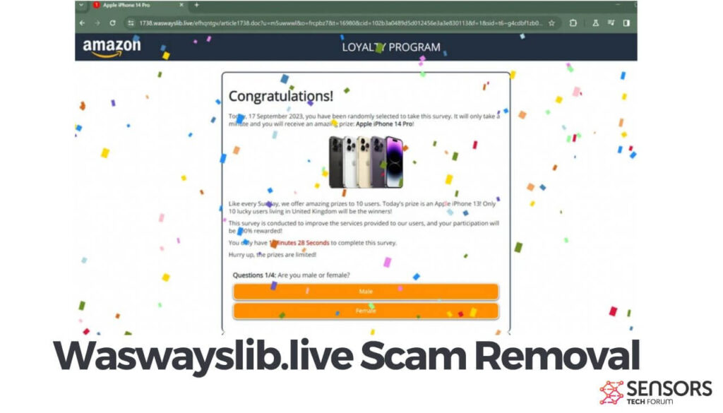Waswayslib.live Scam Removal