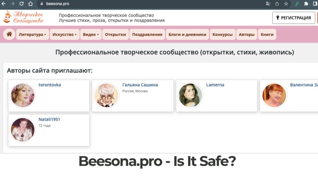 Beesona.pro - Is It Safe [Scam Check]
